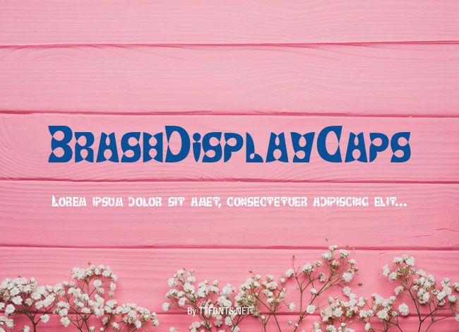 BrashDisplayCaps example