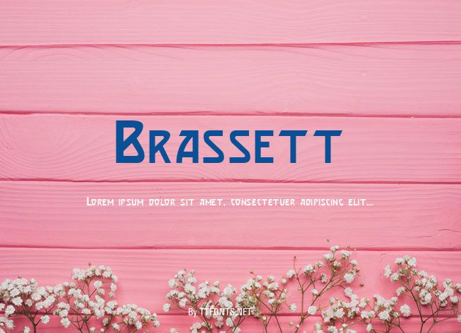 Brassett example