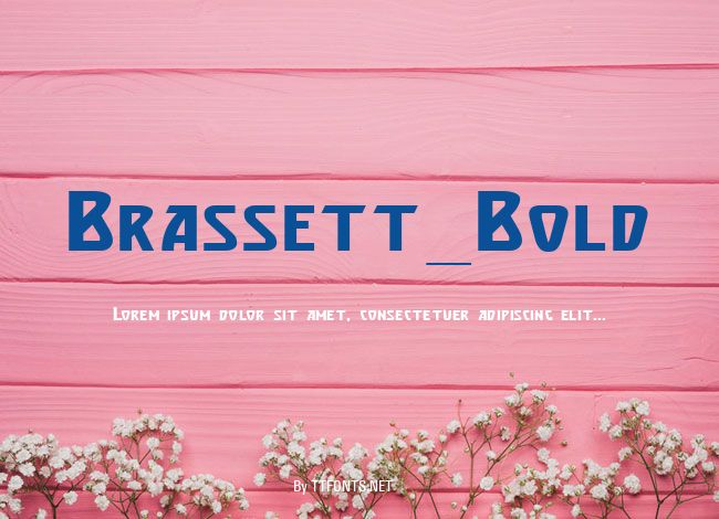 Brassett_Bold example