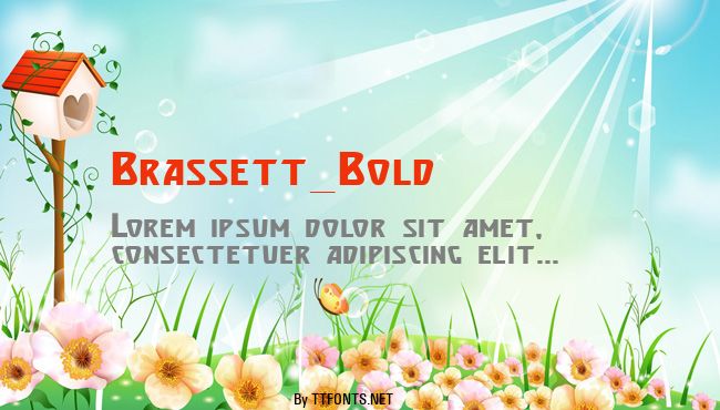 Brassett_Bold example