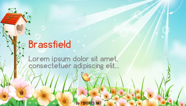 Brassfield example