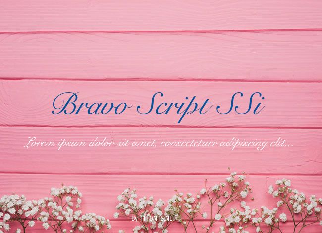 Bravo Script SSi example