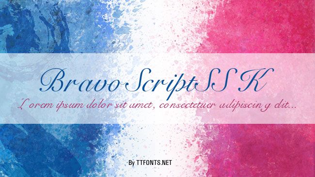 BravoScriptSSK example