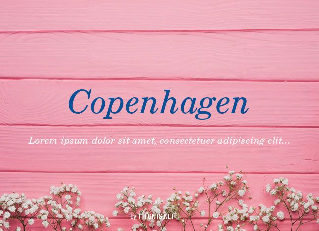 Copenhagen example