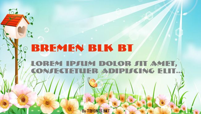 Bremen Blk BT example