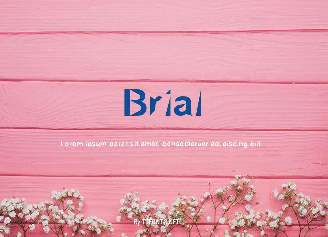 Brial example