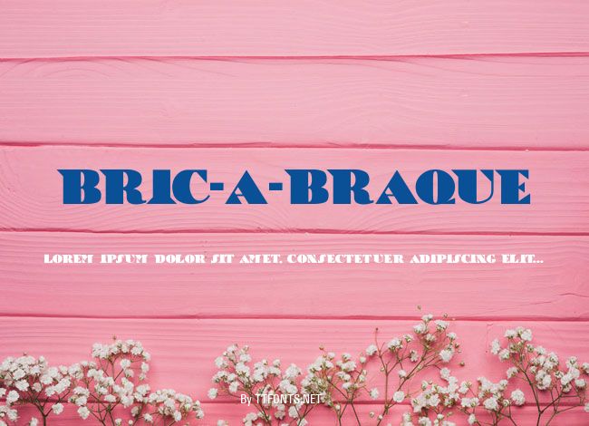 Bric-a-Braque example