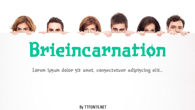 Brieincarnation example