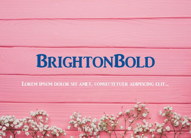 BrightonBold example