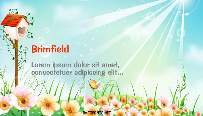 Brimfield example