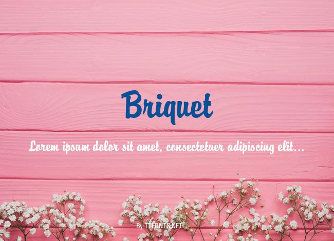Briquet example