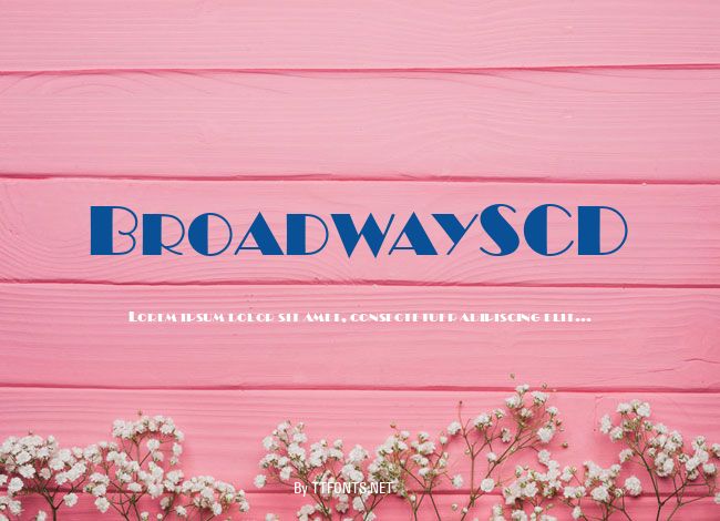 BroadwaySCD example