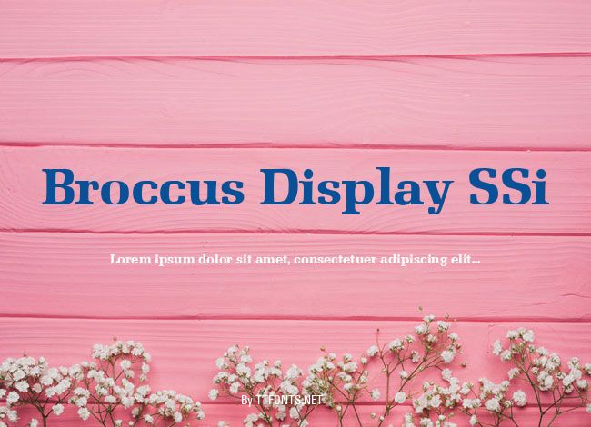 Broccus Display SSi example