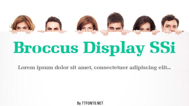 Broccus Display SSi example