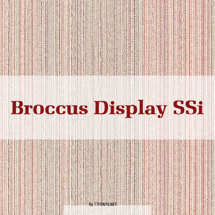 Broccus Display SSi example