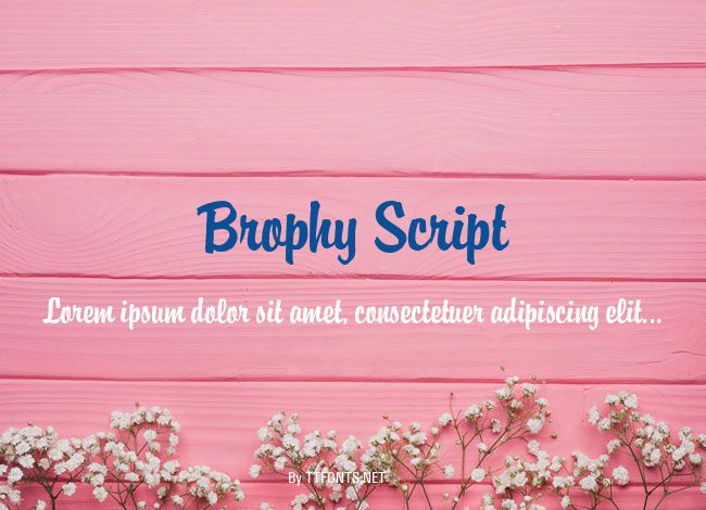 Brophy Script example