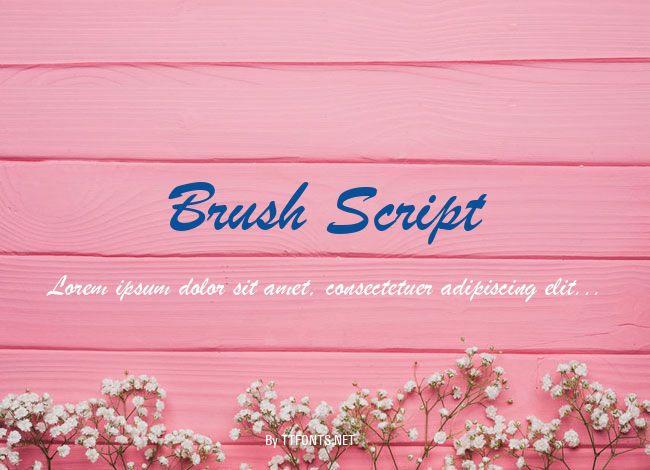 Brush Script example