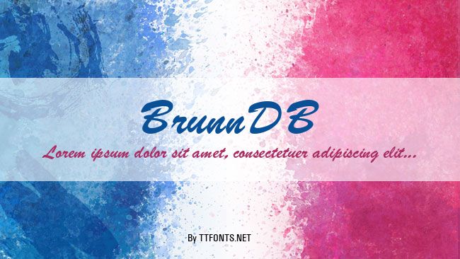 BrunnDB example