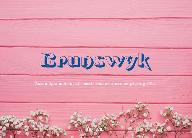 Brunswyk example