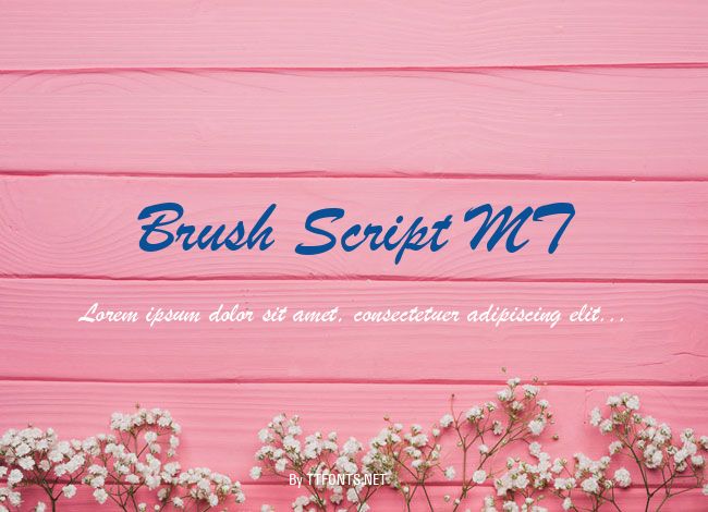 Brush Script MT example