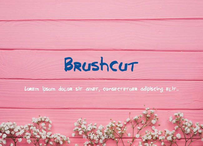 Brushcut example