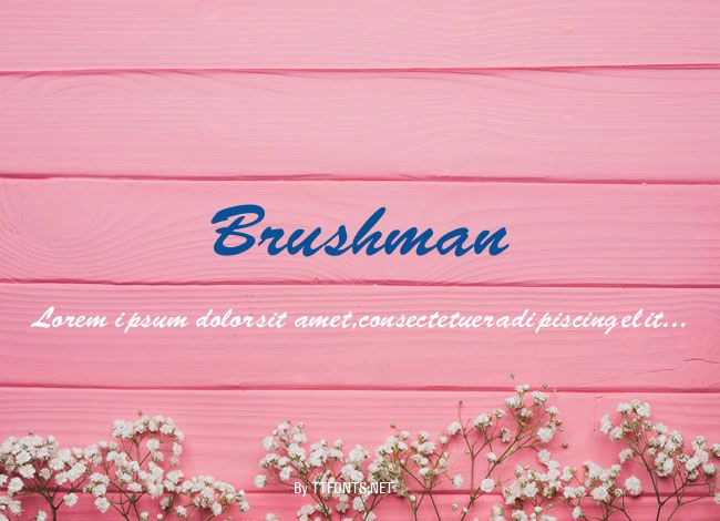 Brushman example