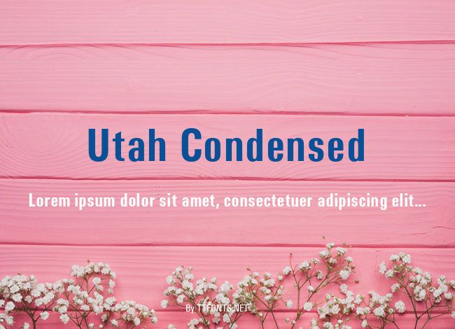 Utah Condensed example