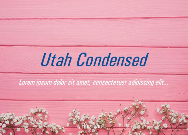 Utah Condensed example
