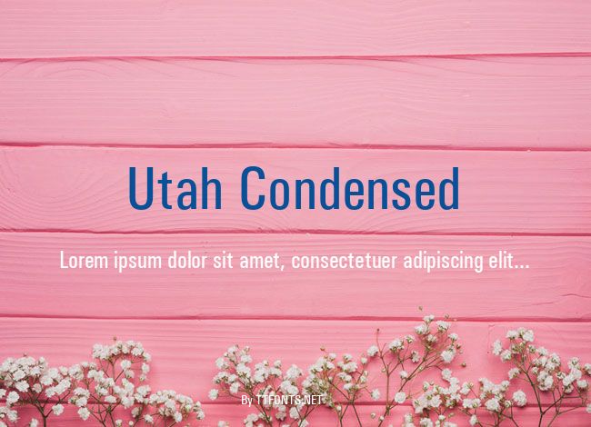 Utah Condensed example
