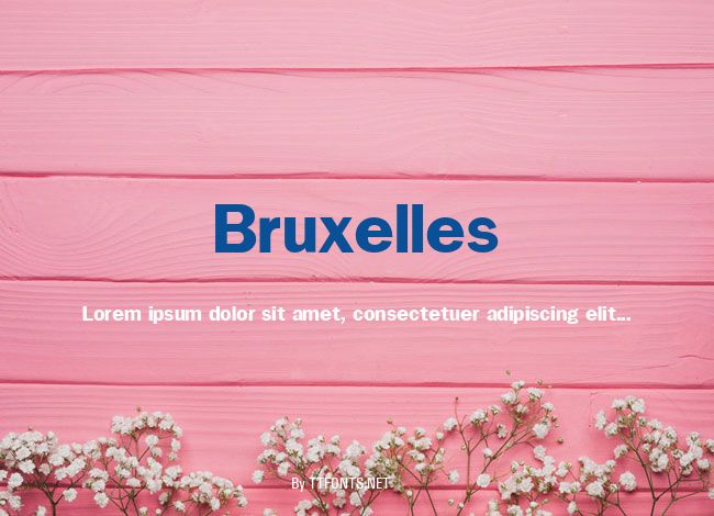 Bruxelles example