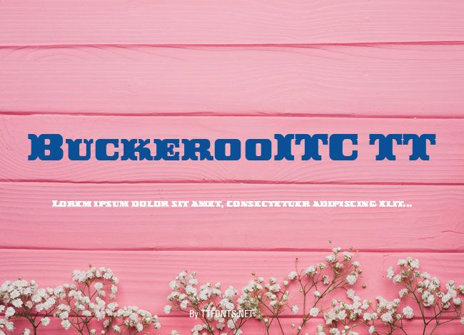 BuckerooITC TT example