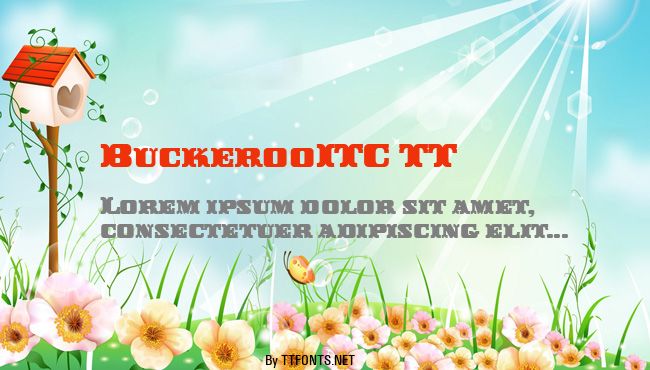 BuckerooITC TT example