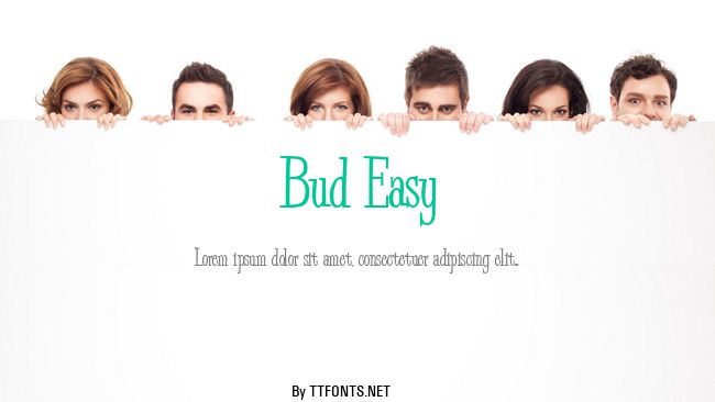 Bud Easy example