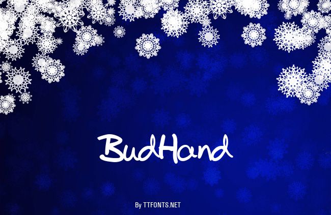 BudHand example