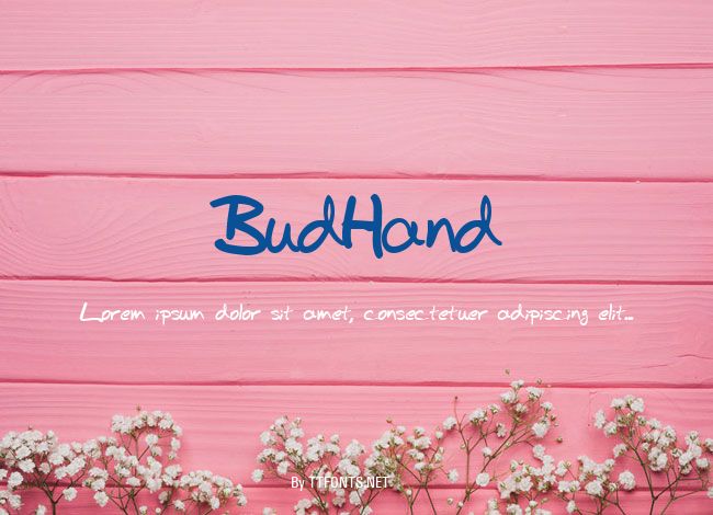 BudHand example