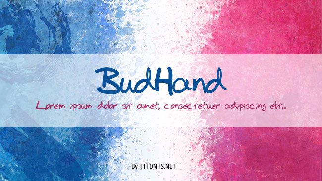 BudHand example