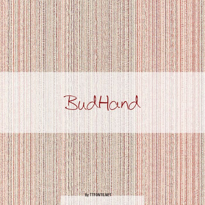 BudHand example