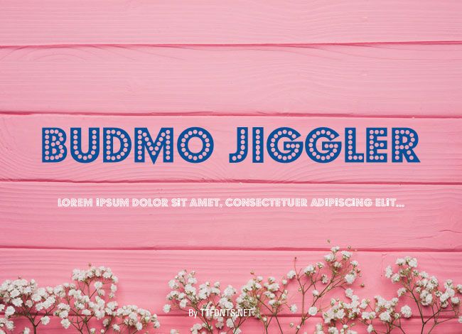 Budmo Jiggler example