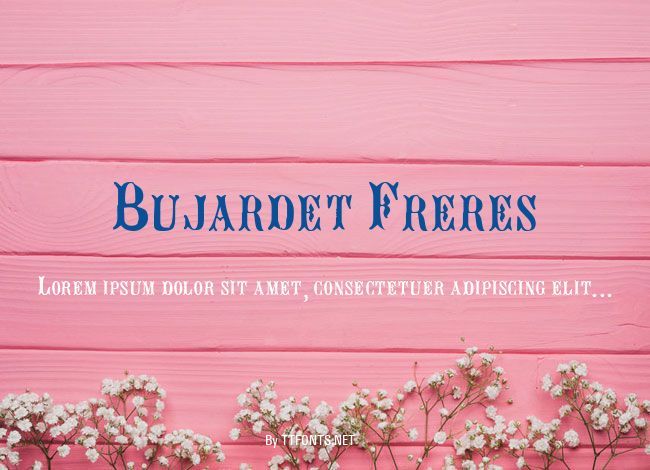 Bujardet Freres example