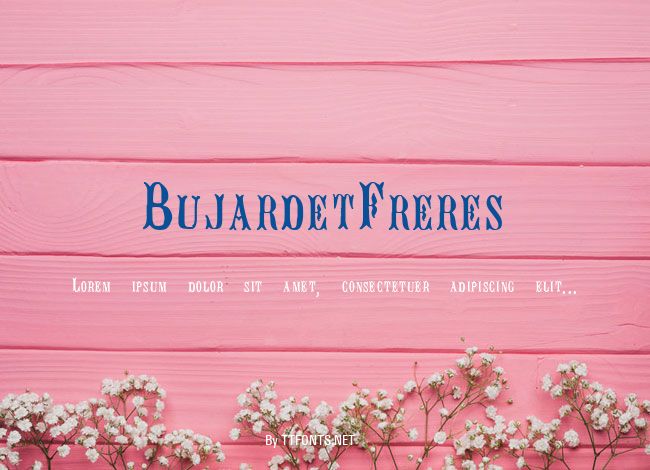 BujardetFreres example