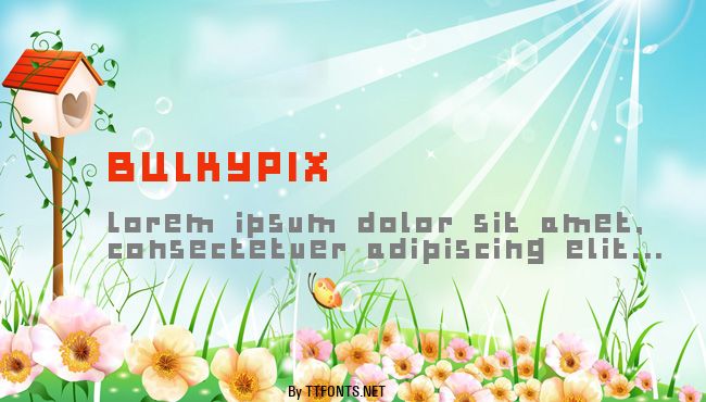 BULKYPIX example