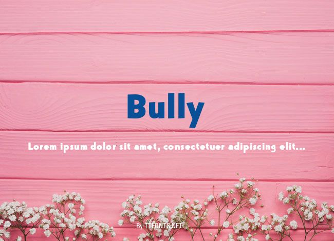 Bully example