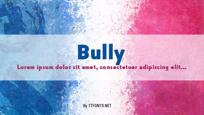 Bully example