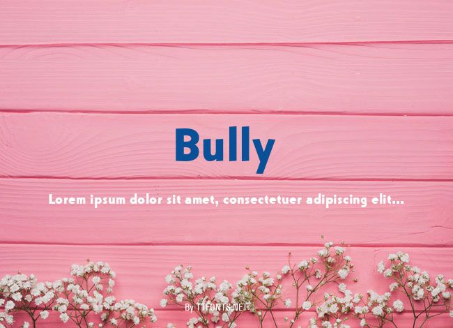 Bully example