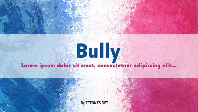 Bully example