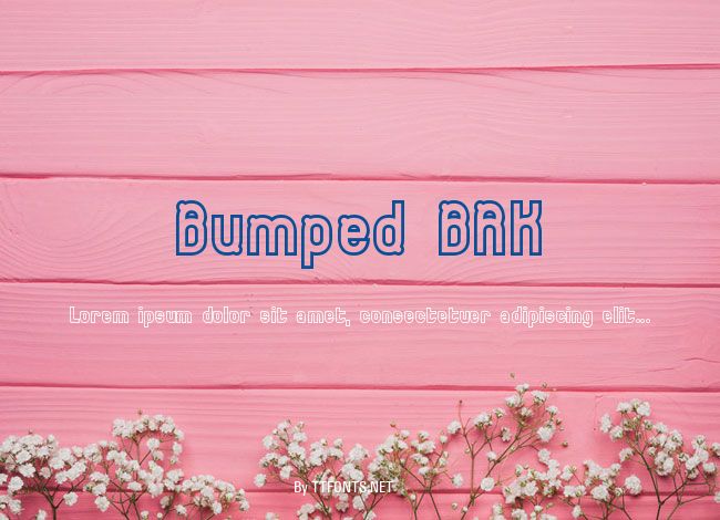 Bumped BRK example