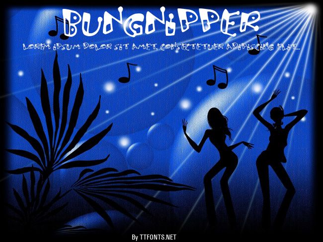 Bungnipper example