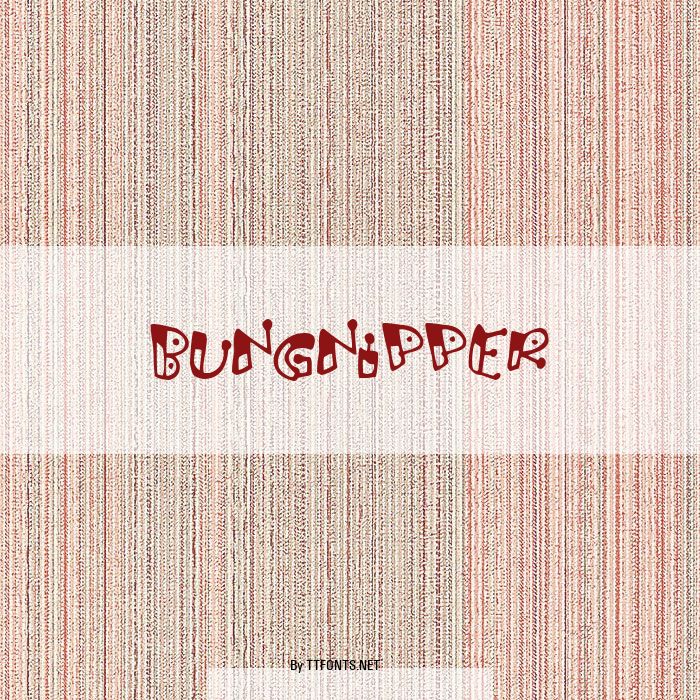 Bungnipper example