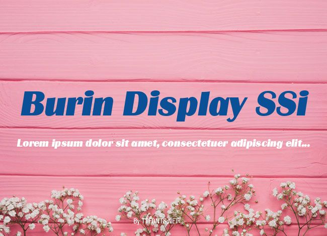Burin Display SSi example