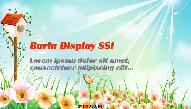 Burin Display SSi example